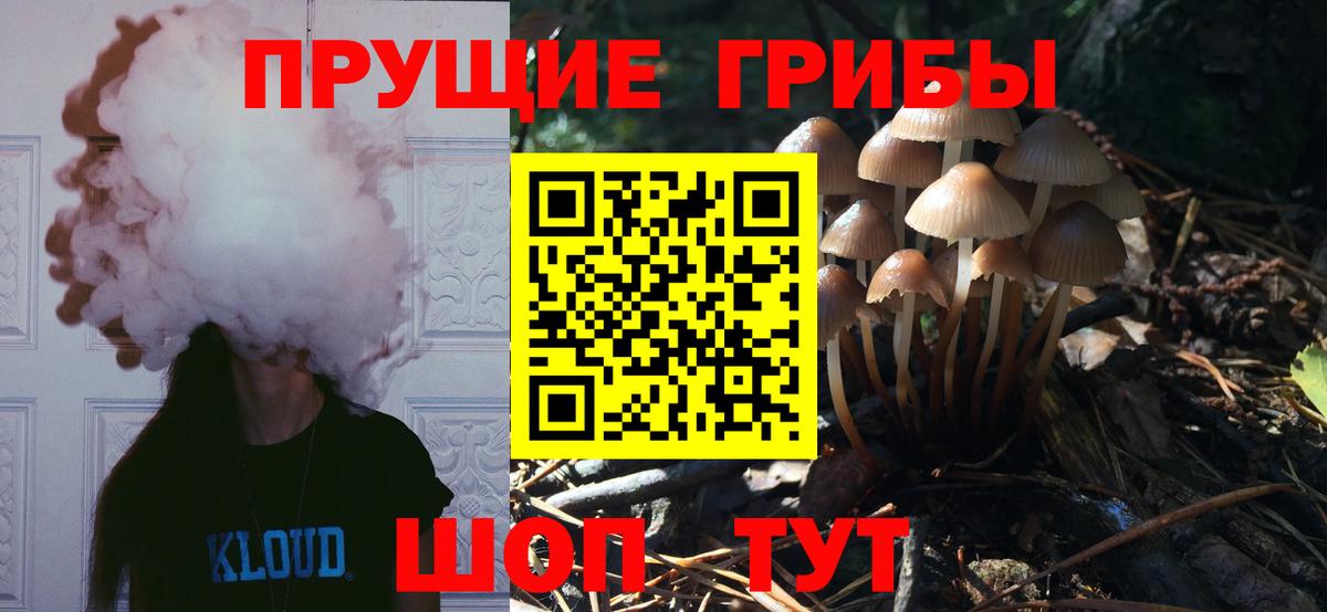 Кунгур  Псилоцибиновые грибы мицелий  Вход с VPN  Галлюциногенные грибы Magic Shrooms 